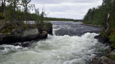 Фото нашего гида Алексея Петровского