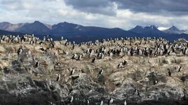 Rodrigo Soldon Souza on VisualHunt 