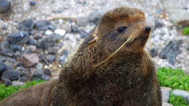 Фото: Витюгова Женя, wikimedia.org