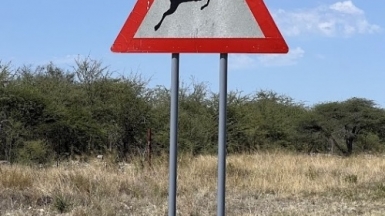 Фото: наш гид Алексей Шорец