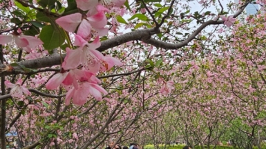 Фото: наш гид Вероника Юнда