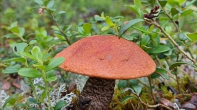 Фото нашей Странницы Екатерины Давыдовой