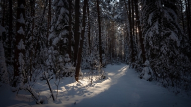 Фото нашего гида Михаила Верёвченко