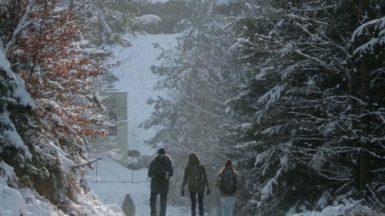 Фото: Herve Marmillot, unsplash.com