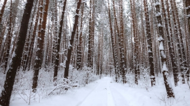 Фото нашего гида Михаила Верёвченко