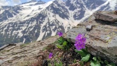 Фото нашей Странницы Анны Игнатовой