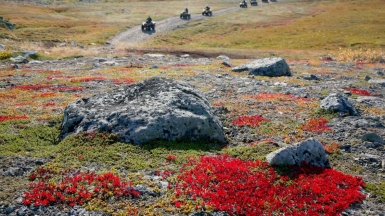 Фото из архива