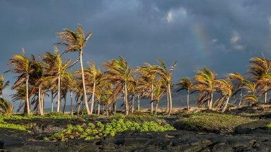 Автор: Rennett Stowe. Источник: visualhunt.com