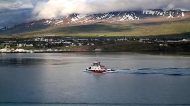 Автор: simon hurry, источник: unsplash