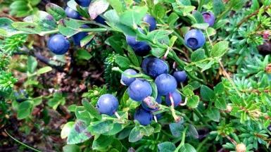 Фото гида Екатерины Синюковой