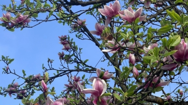 Фото наших Странников