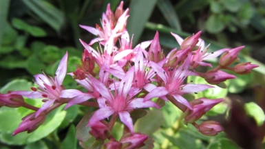 Фото: k.dmitrijewa, visualhunt.com