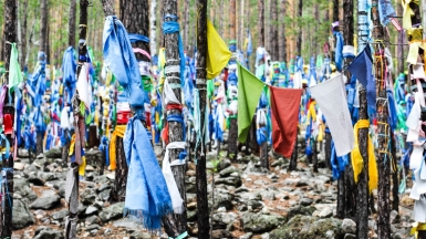 Фото: 
depositphotos.com