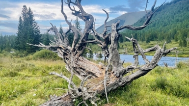 Фото нашей Странницы Юлии Морозовой