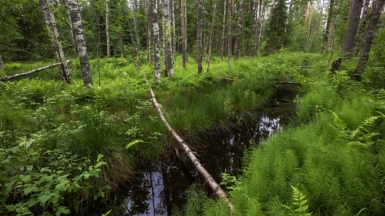 Фото нашего гида Михаила Верёвченко