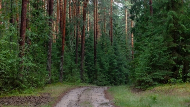 Фото гида Михаила Верёвченко