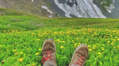 Источник: unsplash