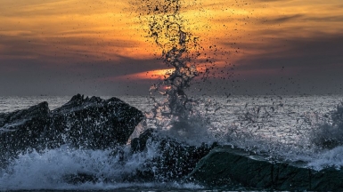 Фото Александра Рыбакова