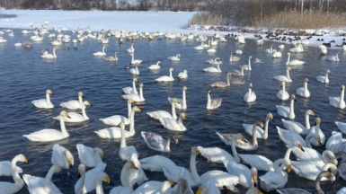 Фото нашего гида Натальи Герасимовой