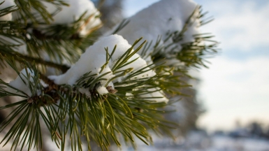 Фото: kate shash on unsplash