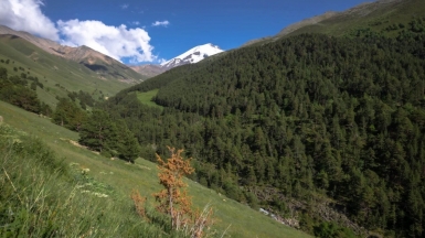 Фото нашего гида Михаила Верёвченко