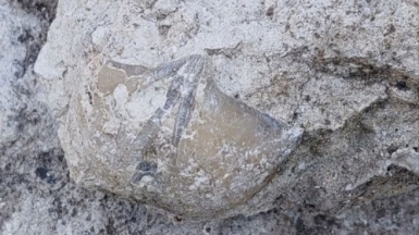 Фото нашего гида Александра Чудновского