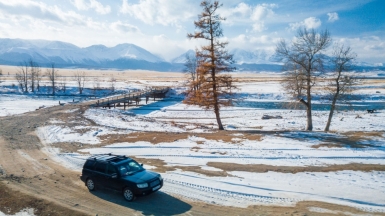 Фото Алексея Горна