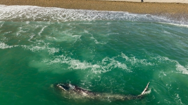 Фото из архива Клуба