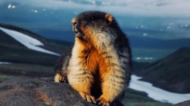 Фото нашего гида Евгении Скопиной