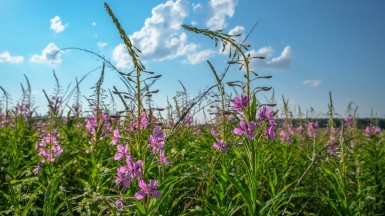 Фото нашей Странницы Марины Шумаковой