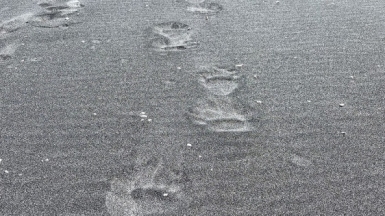 Фото нашей туристки Татьяны Якшиной