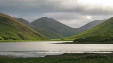 Фото: SuricataJ, wikimedia.org