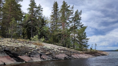 Фото Галины Шелудько