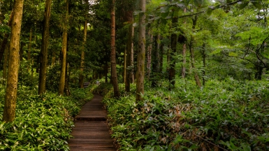 Источник фото: https://visualhunt.com