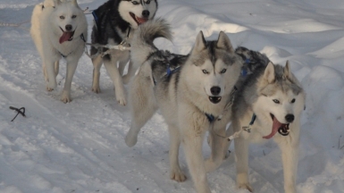 Фото из архива Клуба
