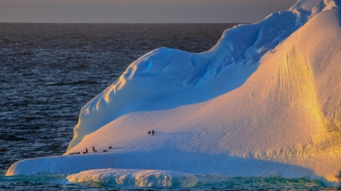 Автор: Murray Foubister, источник: visualhunt