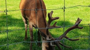 Фото нашего гида Сергея Кузура