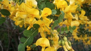 Фото нашего гида Ирины Пряничниковой