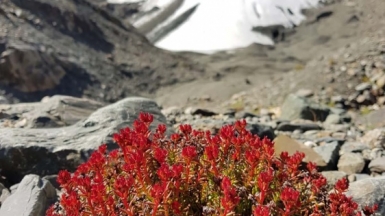 Фото наших Странников