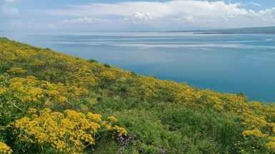 Фото нашего гида Ирины Пряничниковой