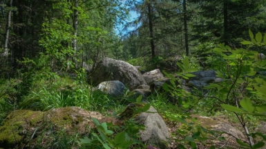 Фото нашей Странницы Марины Шумаковой