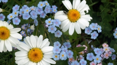 Фото нашего гида Геннадия Скосырева