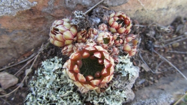 Фото Ольги Барабановой