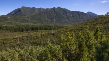 Фото нашего гида Михаила Верёвченко