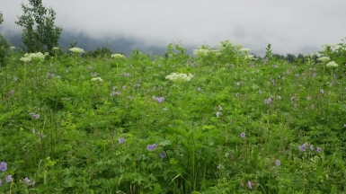 Фото из архива Клуба