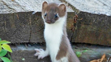 Фото из архива Клуба