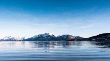 Фото: Martin de Lusenet