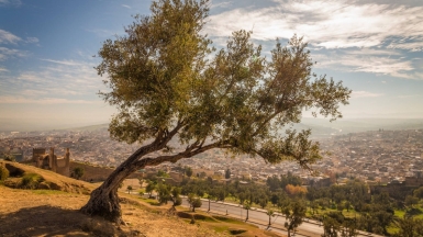 Автор: Max Dawncat, источник: visualhunt