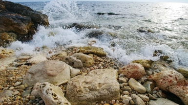 Фото: Konstantin Dyadyun, unsplash.com