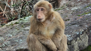Фото: наш гид Вероника Юнда